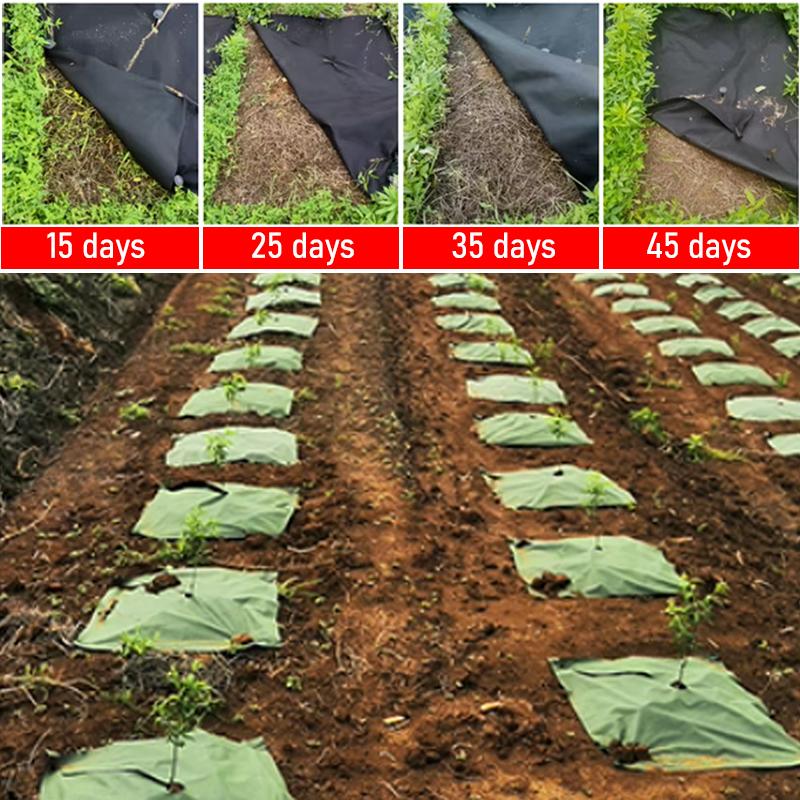 Biodegradable Tree Cover Ring Pad, Weed Control Landscape Geotextile, High Strength Polypropylene Composite Garden Fabric