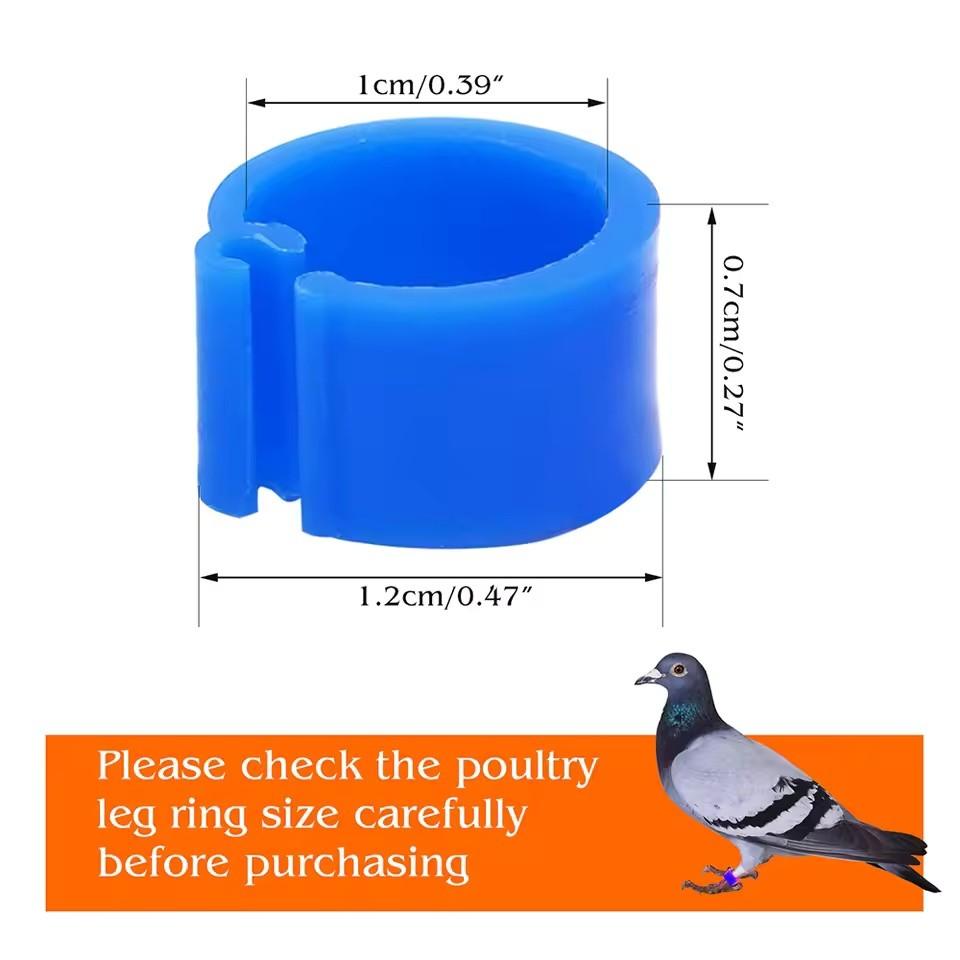 Colorful Parrot Pigeon Foot Rings Set of 50, No-Word Identifier Bands, Bird Training Tools, Plastic Anti-Drop Feet Clips, Pet Bird Accessories