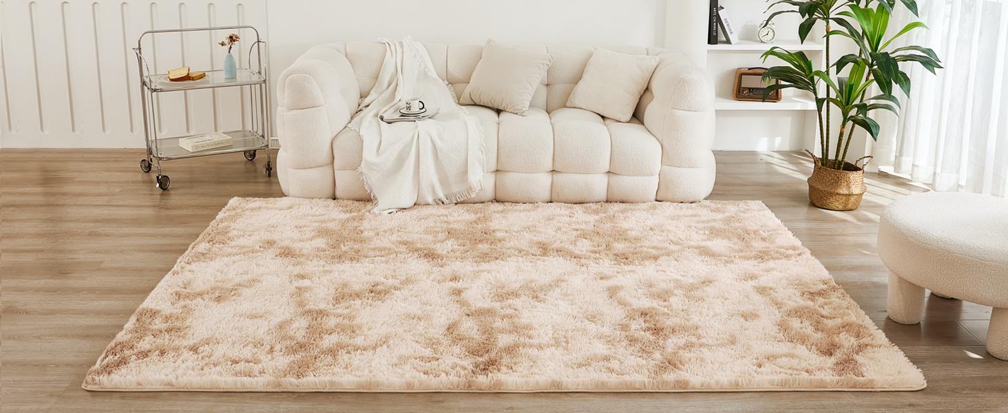 Litanika Shaggy Area Rugs - 4x6 5x7 8x10 Plush Tie-Dye Carpet, Ultra Soft Non-Slip Floor Mat for Bedroom Living Room Dorm, Machine Washable Furry Rug (Multiple Sizes)
