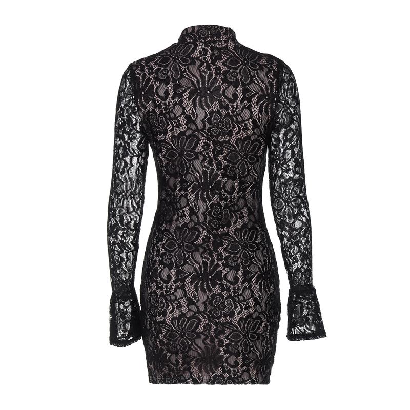 Women's Lace Cut Out Mock Neck Bodycon Dress, Elegant Fashion Long Sleeve Short Dress for Party Club Holiday, Women Dress for Spring Fall Women's Lace Cut Out Mock Neck Bodycon Dress, Elegant Fashion Long Sleeve Short Dress for Party Club Holiday, Women Dress for Spring Fall