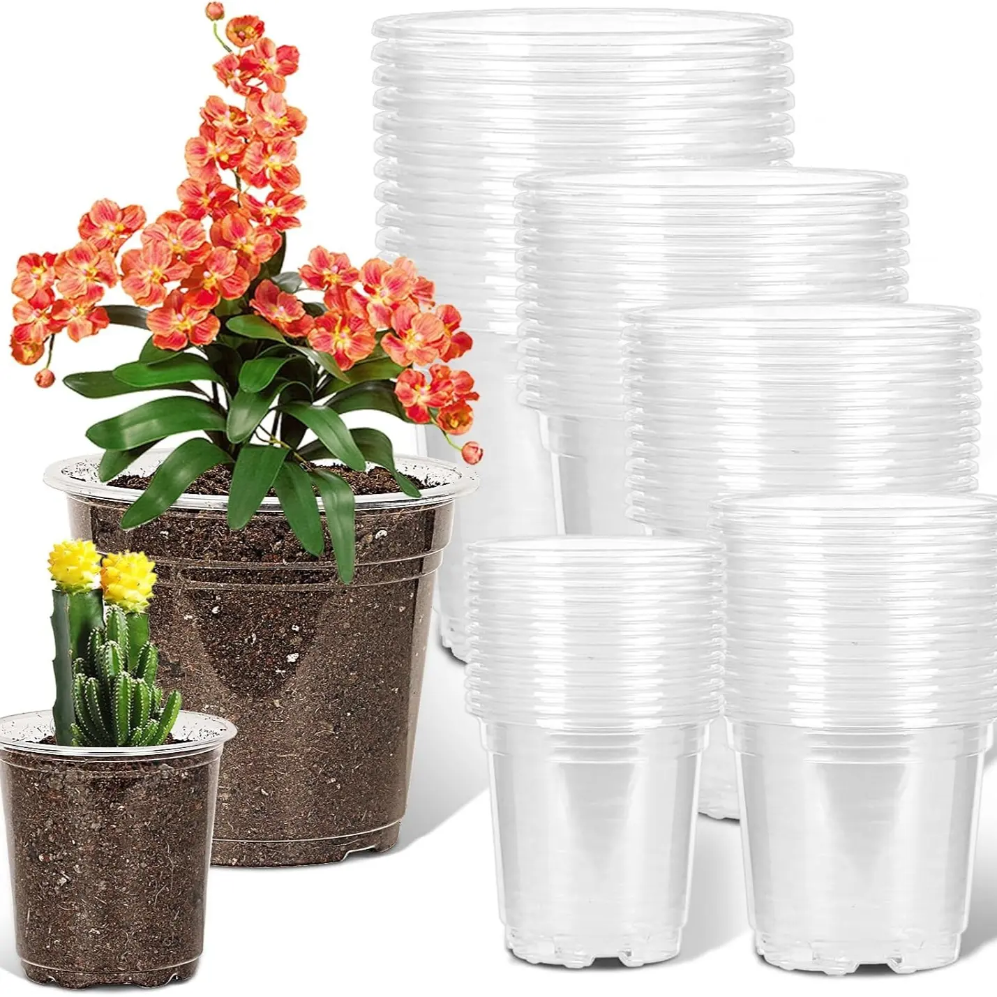 20pcs Transparent Seedling Pots, Plastic with Drain Holes, Lightweight, Breathable, Ideal for Gardening, Plant Containers, 3-7 Inches