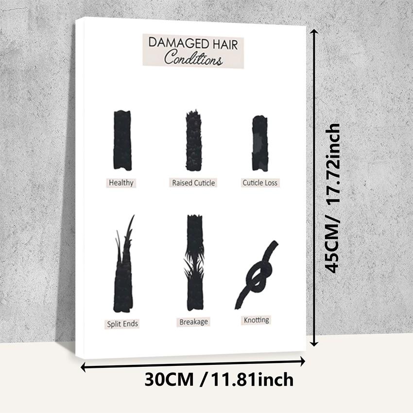 Hair type guide canvas art, wooden framed wall decoration, featuring hair growth cycle charts, damaged hair condition charts, hair anatomy diagrams, and curly hair charts, suitable for hair salon decoration.