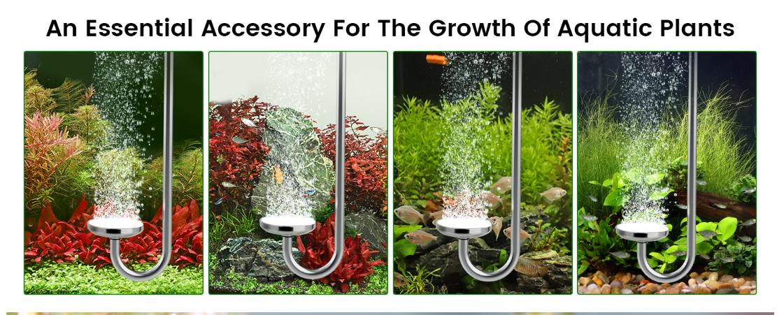 Stainless Steel CO2 Difusser Atomizer Used for Aquarium Plants,Water Grass Tank,Fine and Uniform Bubbles, Durable and Not Easy to Rust Stainless Steel CO2 Difusser Atomizer Used for Aquarium Plants,Water Grass Tank,Fine and Uniform Bubbles, Durable and Not Easy to Rust