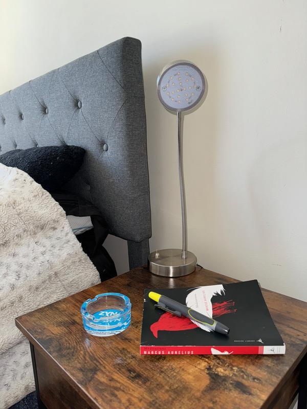 The ZynByn Lip Pillow Dumpster - The Perfect Gift for Him or Her to Clean up in Style!