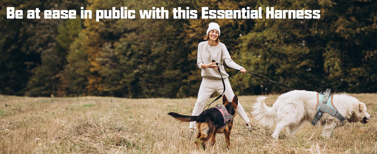 AUROTH No Pull Dog Harness and Leash Combo, Reflective Adjustable Safety Harness – Soft Padded, Easy On & Off – Dog Walking & Training, Small Medium Large Dogs