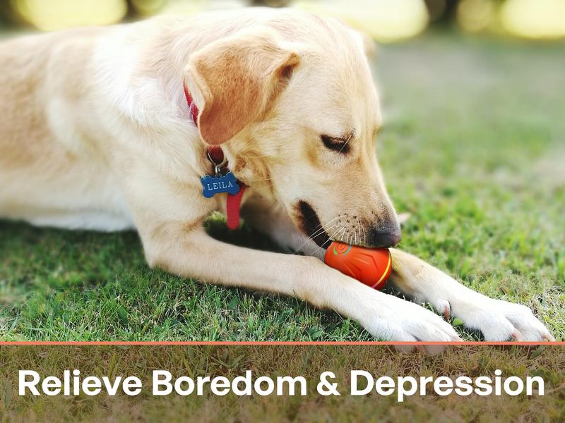 Automatic Interactive Dog Ball - Smart Electric Toy with Random Jumping & Rolling, USB Rechargeable Chew Toy for Small/Medium/Large Dogs - Puppy Entertainment Essential Automatic Interactive Dog Ball - Smart Electric Toy with Random Jumping & Rolling, USB Rechargeable Chew Toy for Small/Medium/Large Dogs - Puppy Entertainment Essential