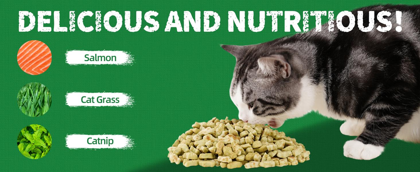 Just Try Cat Treats, Cat Grass Treats, Natural Salmon Flavor Healthy Cat Snacks, Training Biscuits Treats for Cats, Catnip for Cats, Crunchy Fish Shape Adult Cat Snacks, 13.4 oz
