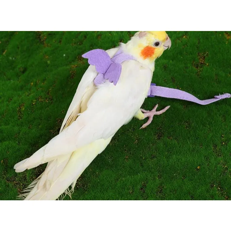 Parrot Release Vest And Rope, Tiger Skin Peony Cockatiel Small Bird Flying Harness Lead Bird Training Rope Pigeon Rope