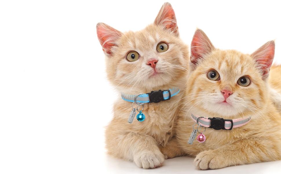 14 Pack Breakaway Cat Collars with Bells,Reflective Safety Kitten Collar,Ideal for Girl Cats Boy Cats,with Name Tag,Adjustable,Pet Supplies,Accessories