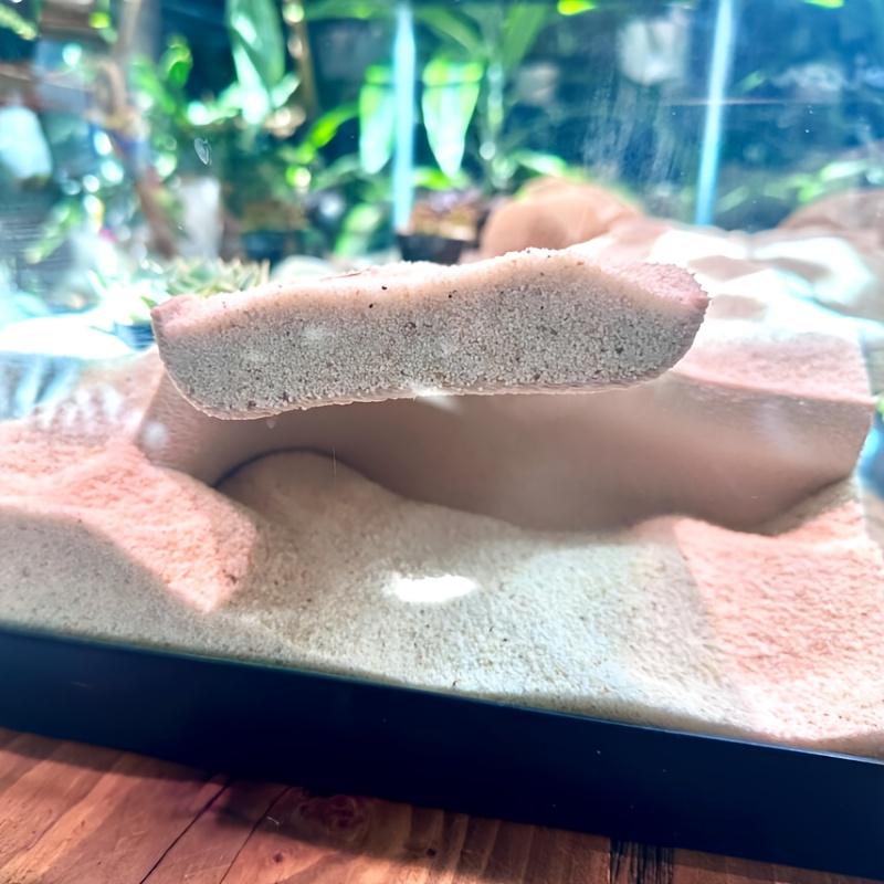 Corner Aquarium Cave for Aquatic Animals and Reptiles, Hideaway and Display Area, Ideal for Fish and Amphibians, Tank Decoration