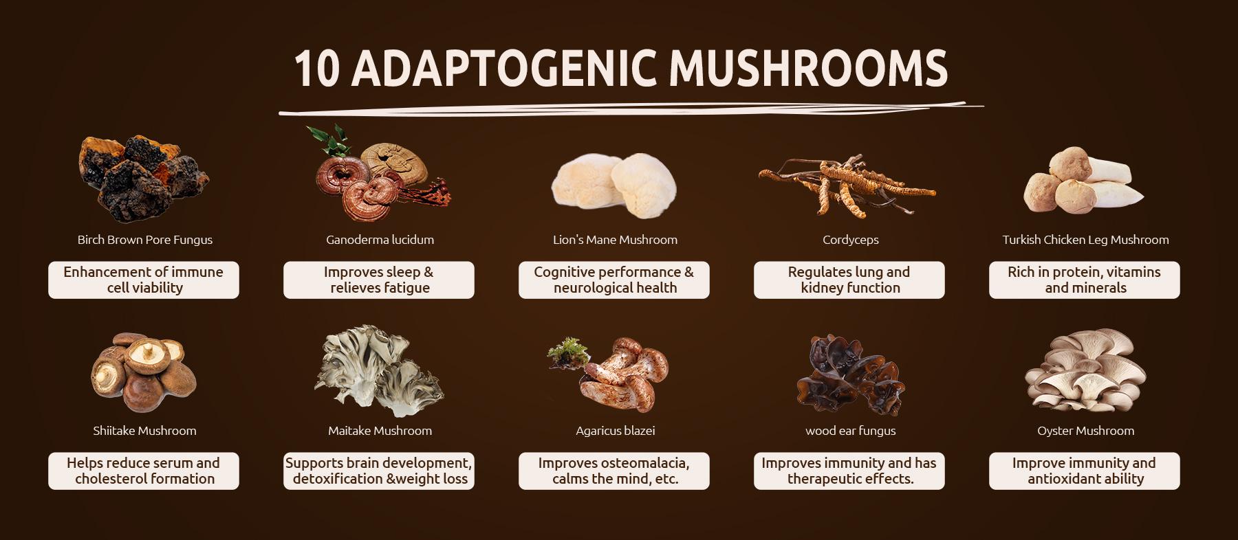 HiPlus Superfoods Mushroom Coffee USDA Organic with 10 Adaptogenic Mushrooms and MCT Oil, USA Grown Instant Coffee for Better Energy, Focus, Digestion, Immunity with Lion's Mane & Turkey Tail, 30 servings