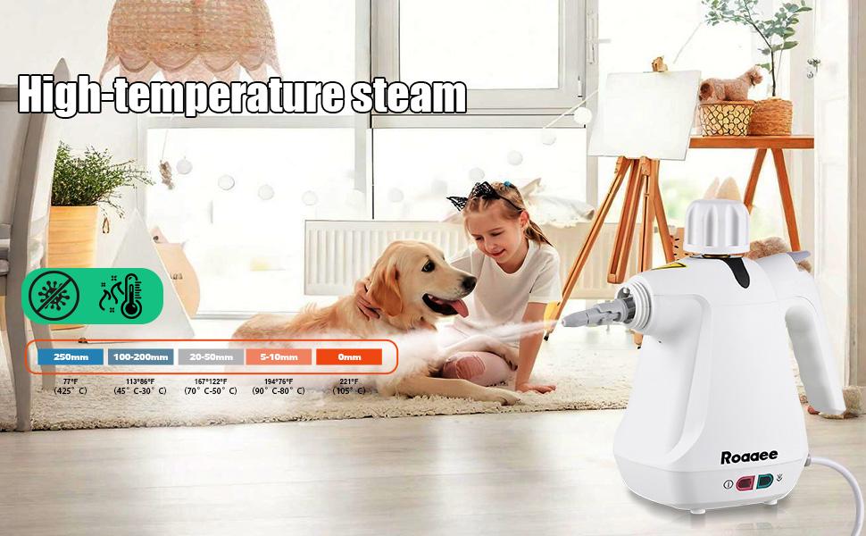 Handheld Steam Cleaner, Multi-Purpose Portable Steamer for Home, Complete Kit of Accessories for Cleaning Floor, Upholstery, Grout and Car Various Attachments Compact Size