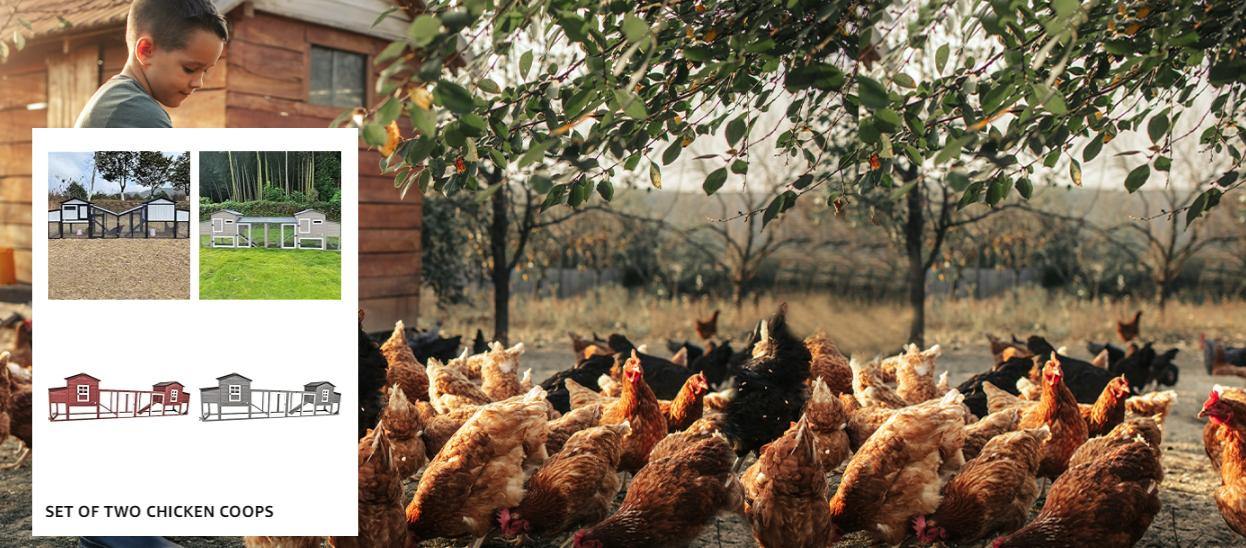 75" Chicken Coop Backyard with Wheels Nesting Box Waterproof Removable Tray and Ramp Large Hen House for 1-4 Chickens