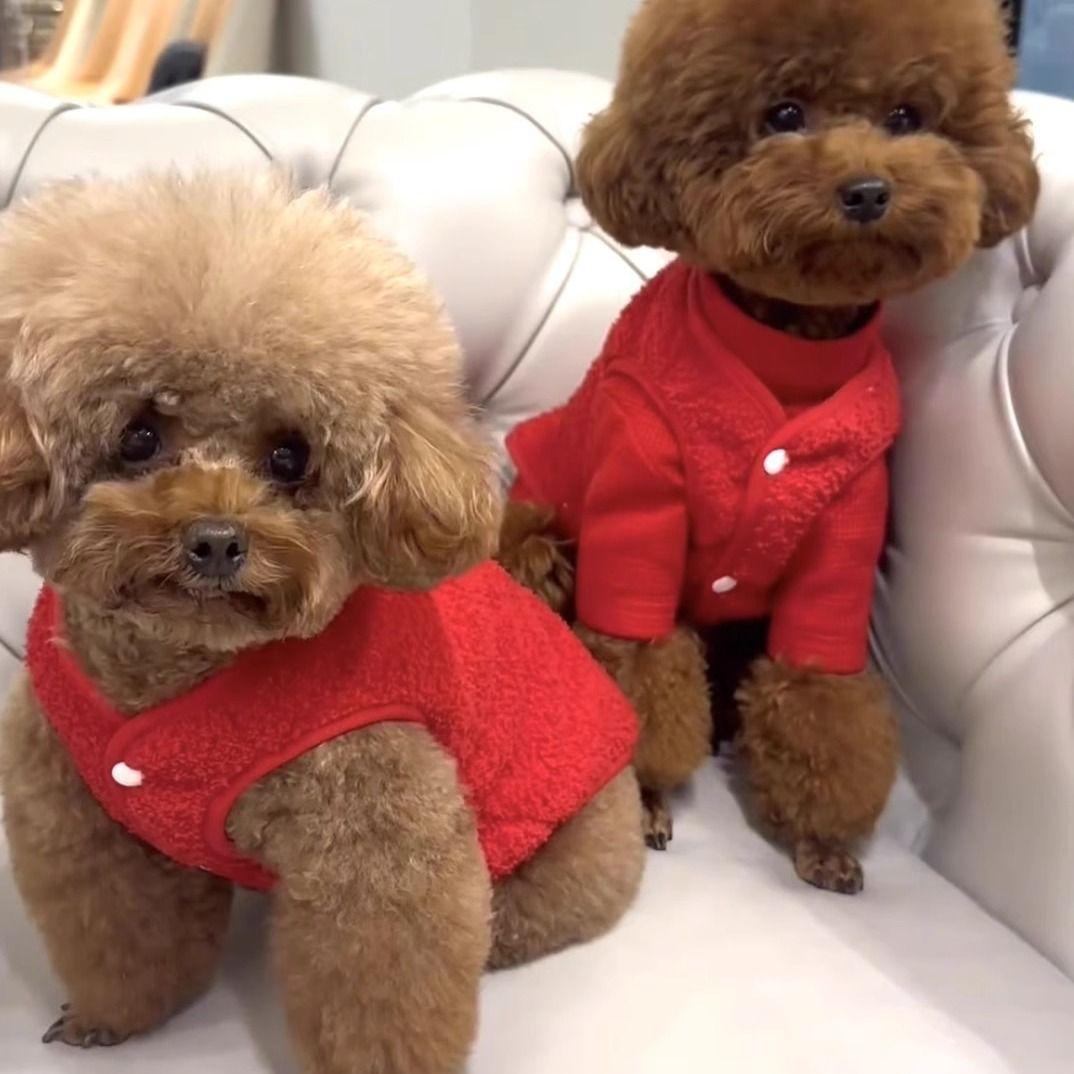 Leash Compatible Festive Dog Clothes New Year for Teddy Bichon Small Dogs Autumn Winter Fleece Vest