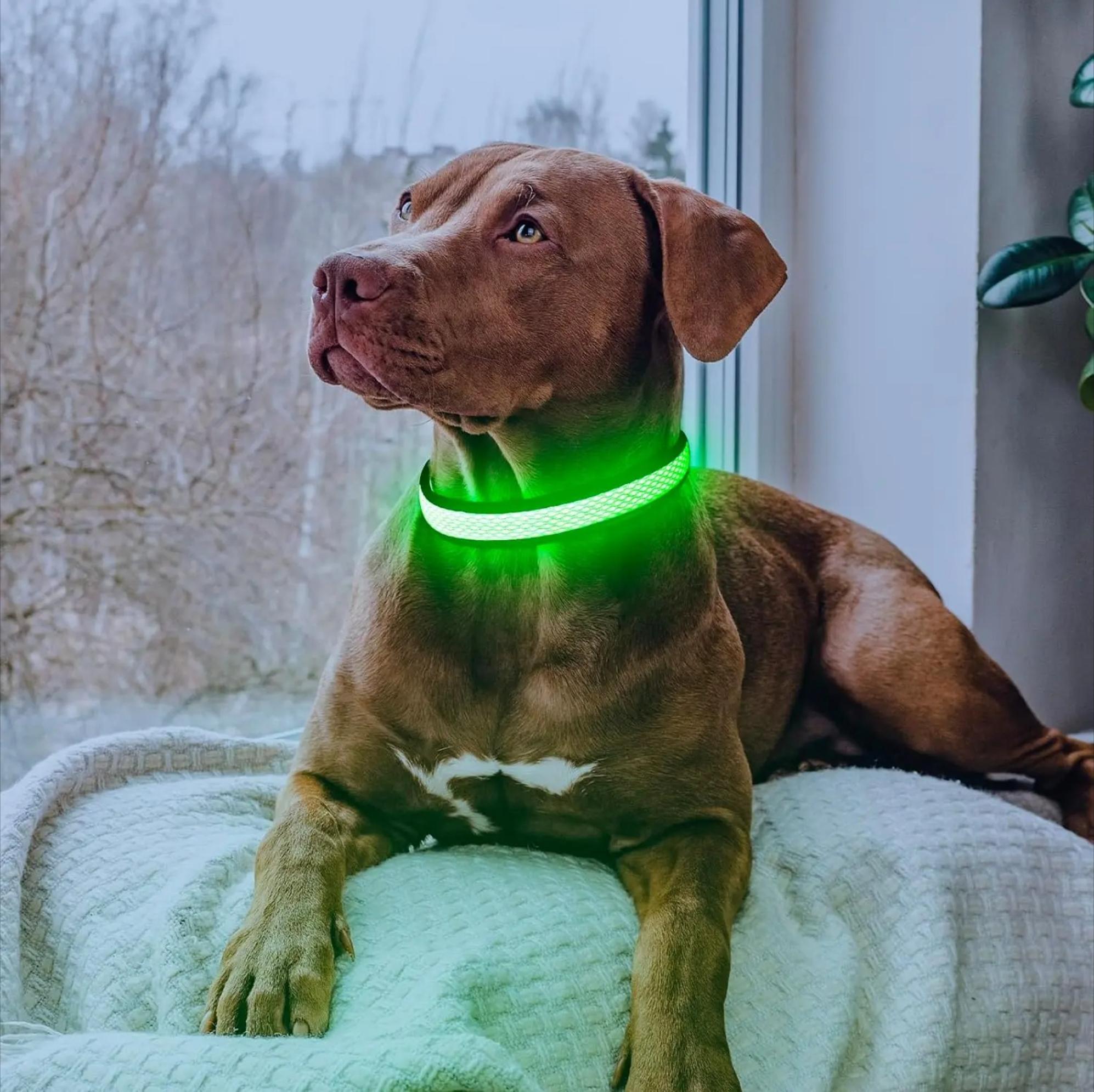 LED Light Up Dog Collar, USB Rechargeable Luminous Safety Collar, Adjustable Soft Mesh for Small Medium Large Dogs S‑L