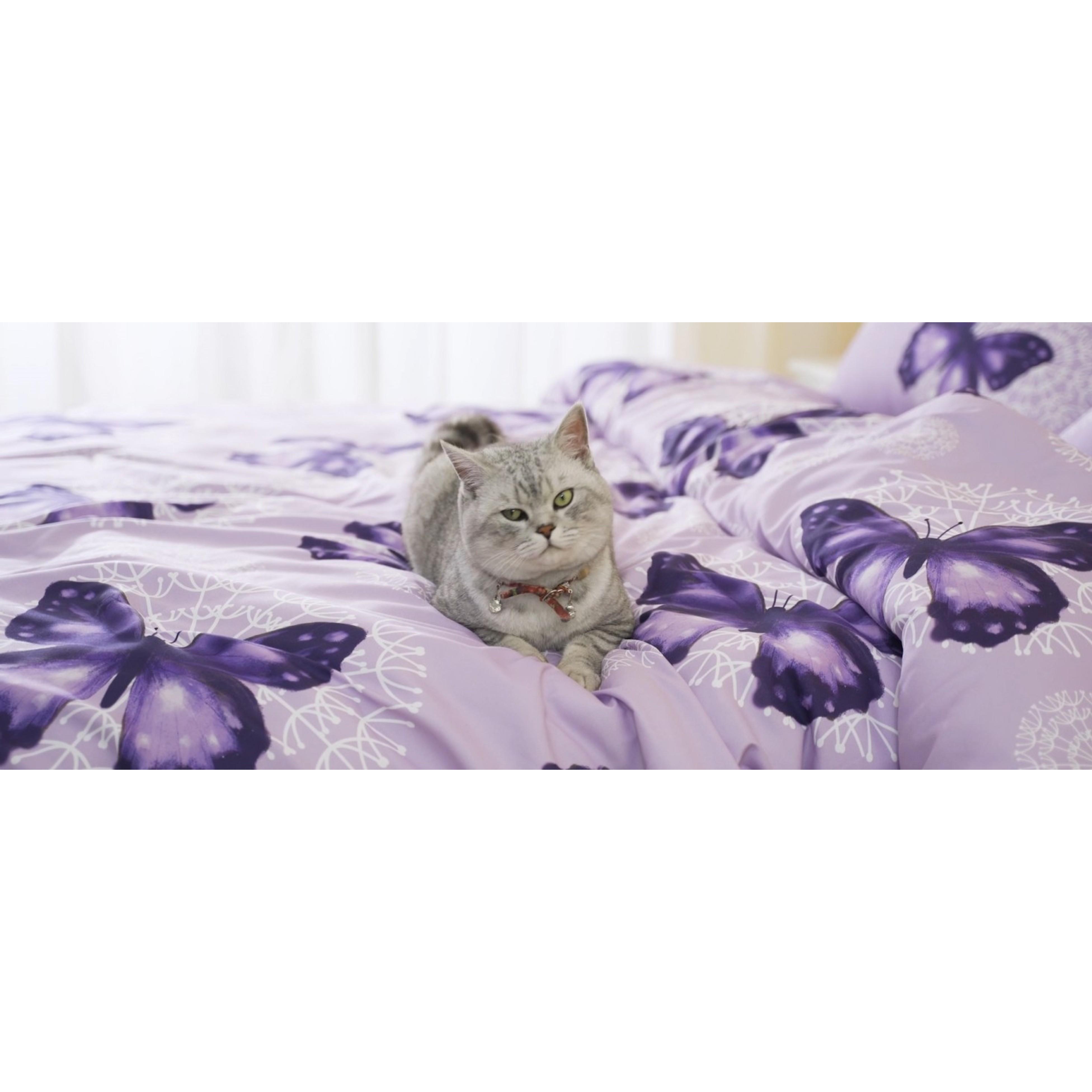Bed in A Bag Full/Queen Size 8 Pieces, Purple Butterfly All Season Bedding Comforter Bed Set with Pillow Shams, Flat Sheet, Fitted Sheet, Bed Skirt, Pillowcases Bed in A Bag Full/Queen Size 8 Pieces, Purple Butterfly All Season Bedding Comforter Bed Set with Pillow Shams, Flat Sheet, Fitted Sheet, Bed Skirt, Pillowcases