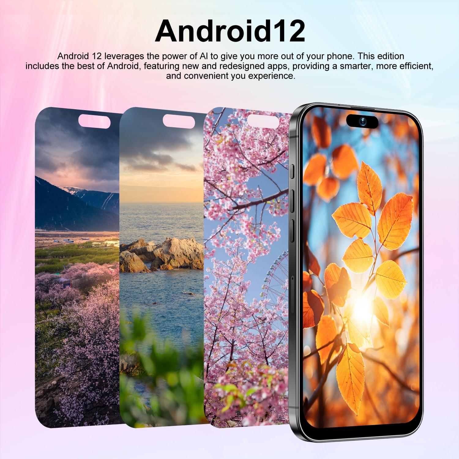 Astarry-17 Pro Max Touchscreen Smartphone, 6.8-Inch Screen, 6gb RAM, 64GB Storage, Octa-Core Processor, 3500mah Battery, Android System, 8+20mp Camera