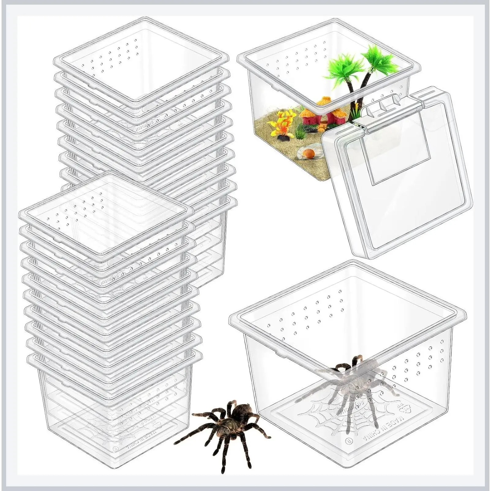20 Pcs Insect Spider Terrariums Breeding Box Small Reptile Hatching Container Transparent Cricket Keeper Breeder Box Feeding Cage with Lid for Scorpion Gecko Tortoise Centipede TarantulaGift