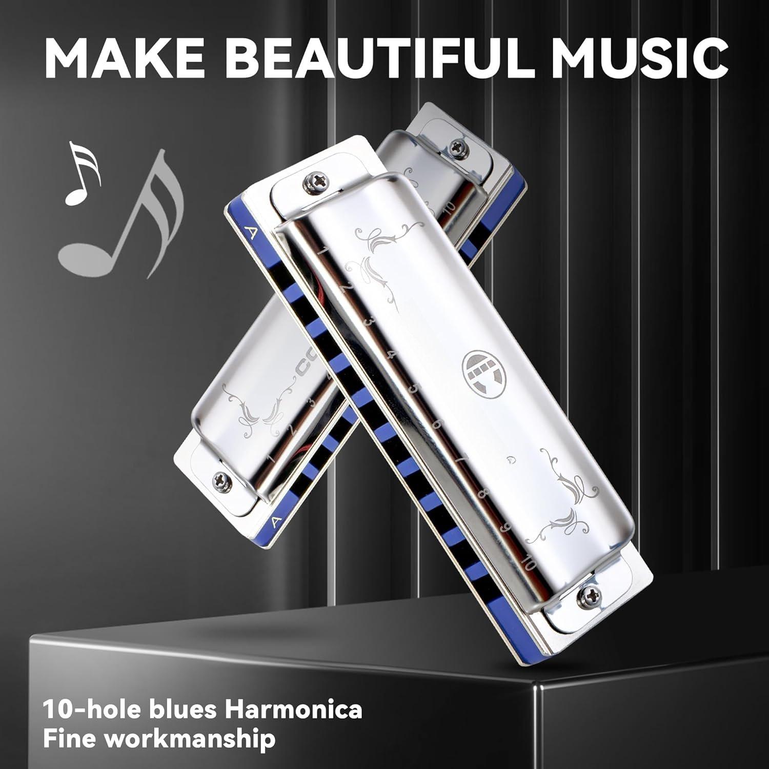 Blues Harmonica for Adult Beginners 10 Hole Diatonic Harmonica in A Key Phosphor Bronze Sound Spring Mouth Organ with Case, Key of A Stainless Steel