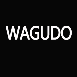 WAGUDO Light