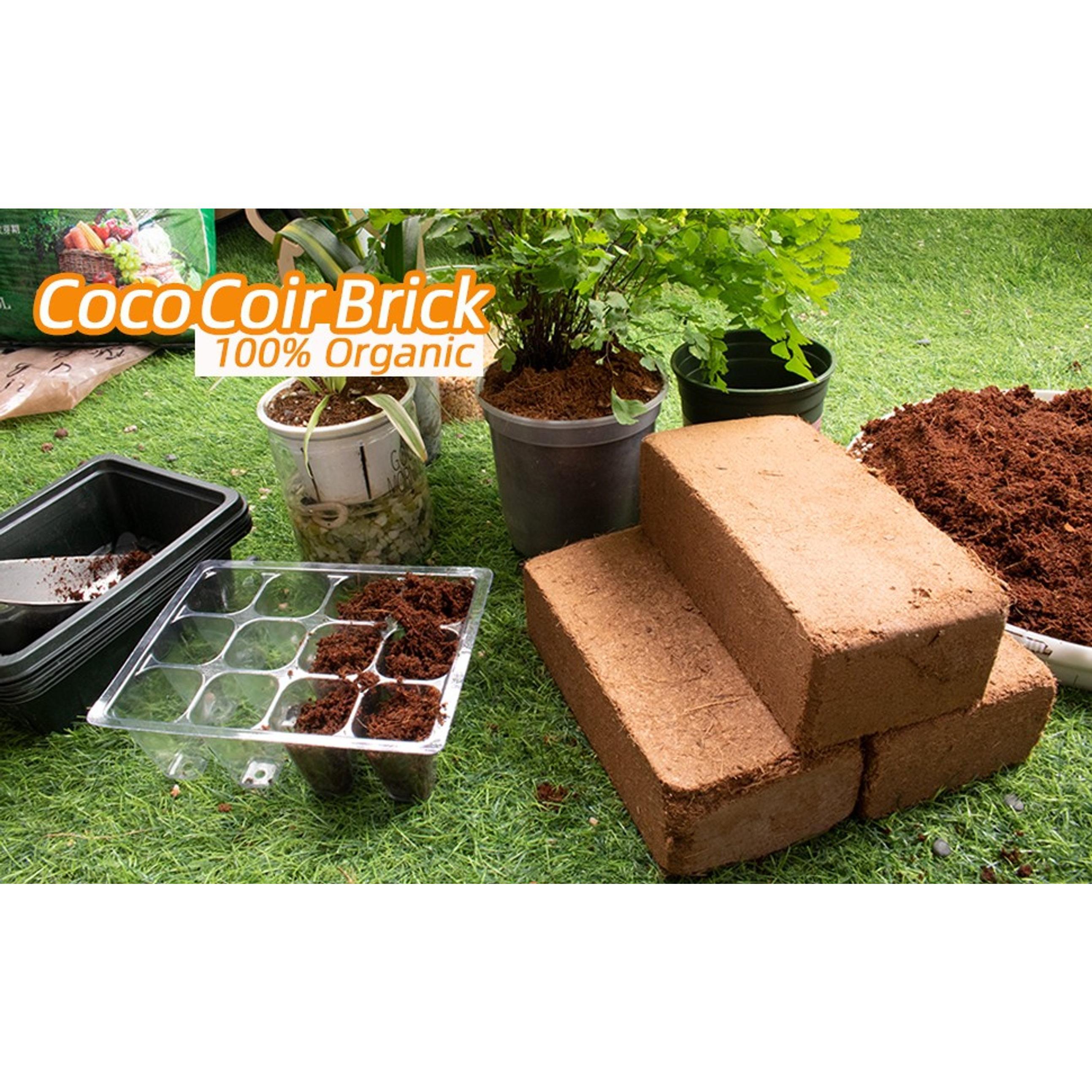 6-Pack Premium Organic Coco Coir Bricks - 100% Natural Coconut Husk Fiber, Planting & Gardening Potting Soil Substrate, Outdoor Garden Decor, Brick Pack