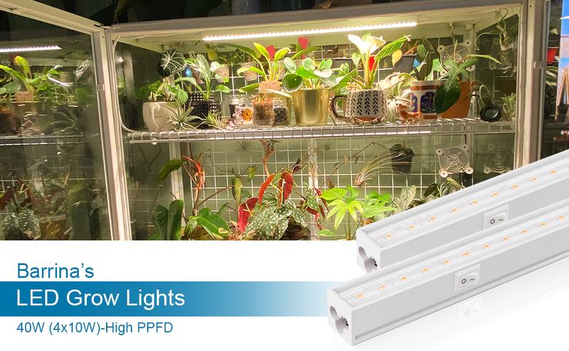 Barrina T5 Grow Lights, Full Spectrum, 2FT, 40W (4 x 10W, 250W Equivalent) for Indoor Plants, Greenhouse, Plug and Play, Yellow, 4 Packs