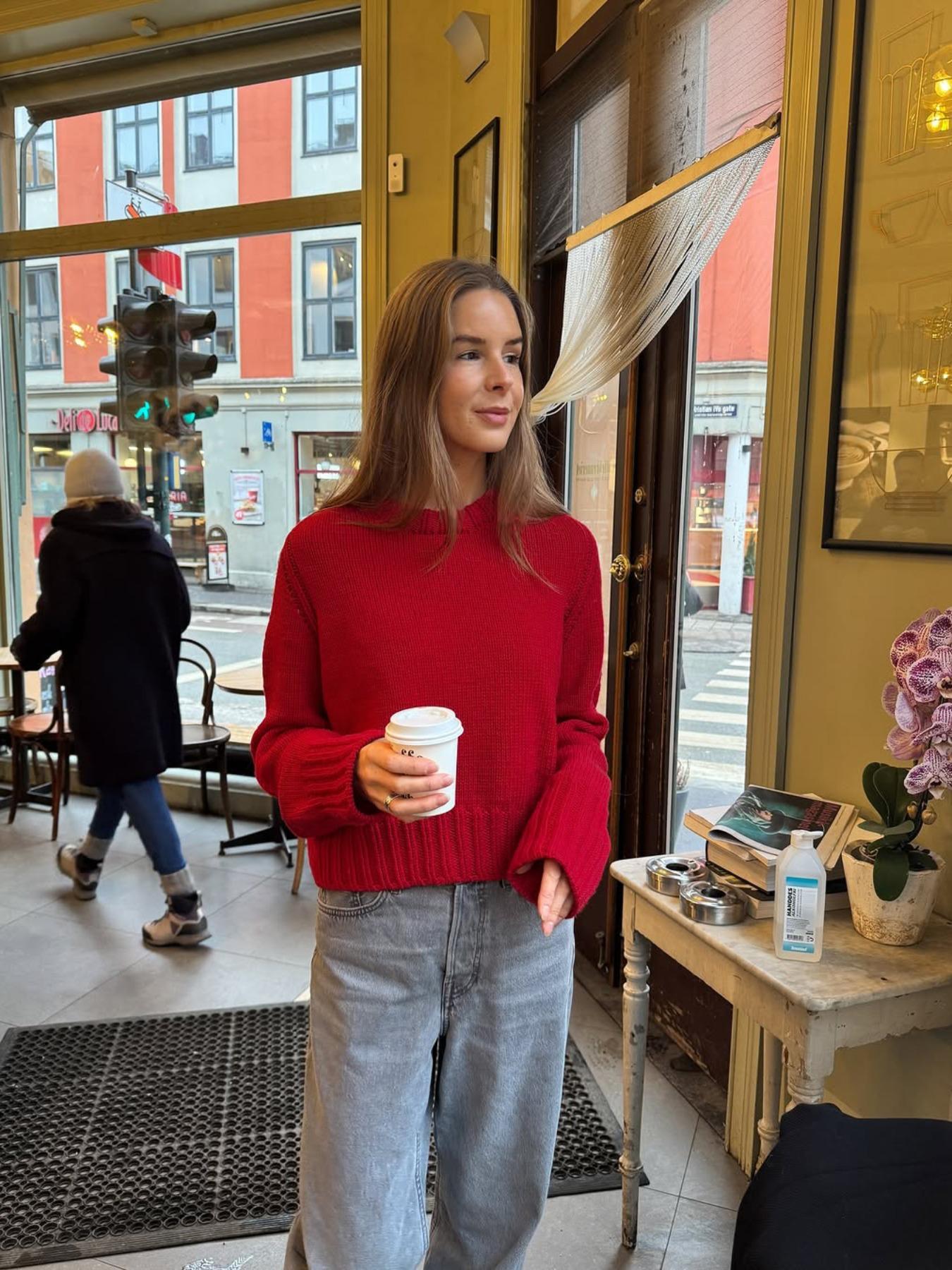 Pure Color Casual Round Neck Sweater Knitwear, Daily Commute Style, Thin Fabric,  Fall & Winter Wear, Women's Fashion