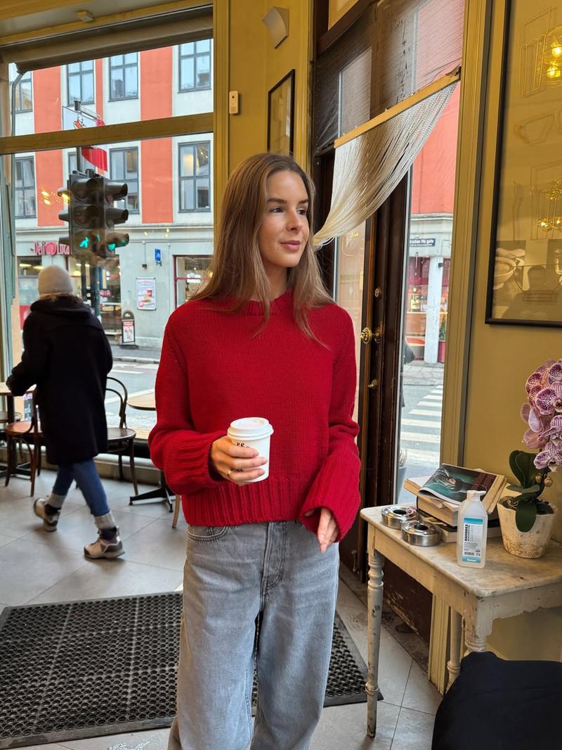 Pure Color Casual Round Neck Sweater Knitwear, Daily Commute Style, Thin Fabric,  Fall & Winter Wear, Women's Fashion