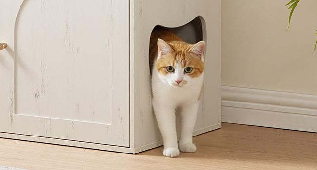 HOOBRO Cat Tree with Litter Box Enclosure, 58.7"H Hidden Cat Litter Enclosure Furniture, All-in-One Modern Cat Tree with Food Bowl, Sisal Scratching Post, and Dangling Ball, White and Walnut