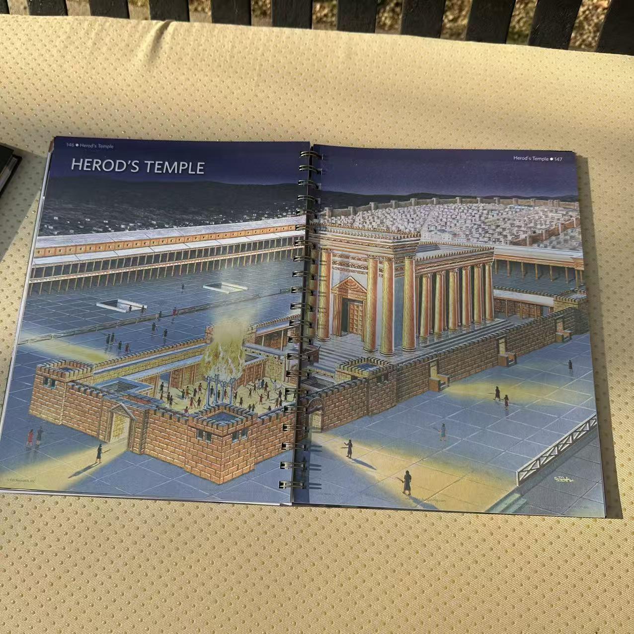 Biblical Timeline Made Easy: Rose Bible 10th Anniversary Definitive Guide ,Essential Religious Reference Guide Notebook, Bible Study Supplies