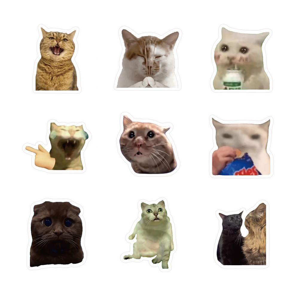 300 cat meme stickers, cute and funny quirky cat Instagram-style emoji and meme images