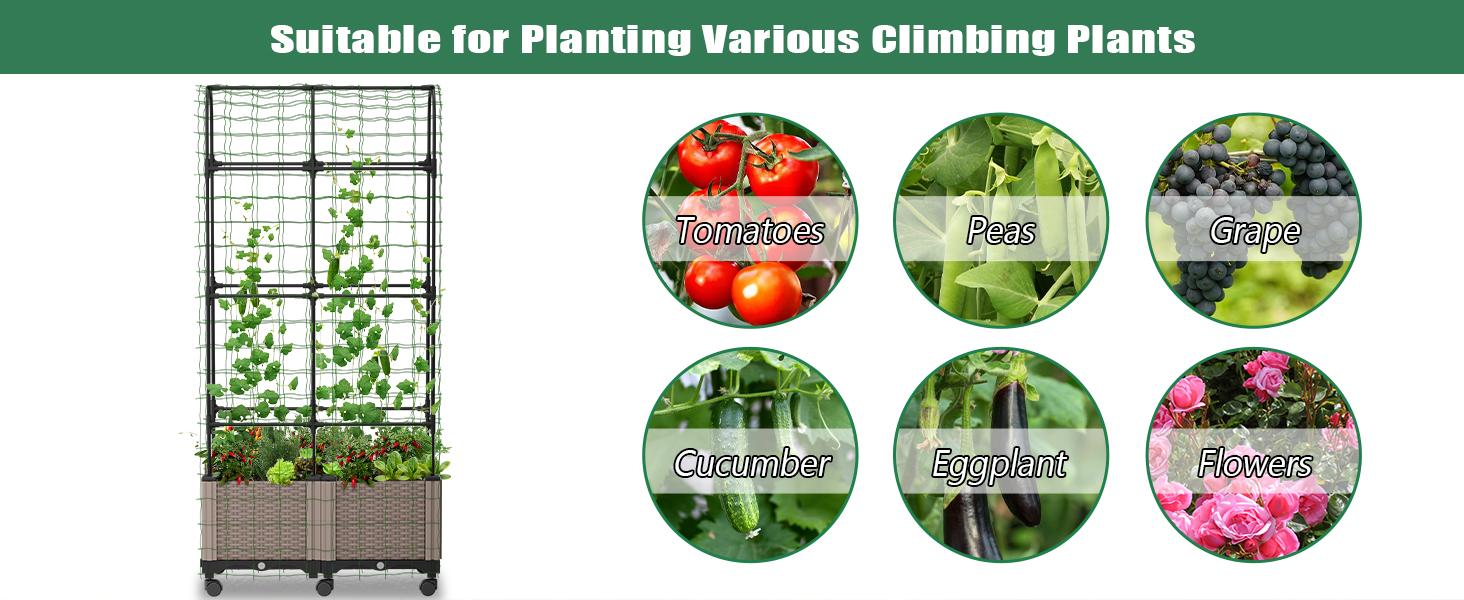 Lilypelle Raised Garden Bed Planter Boxes with Trellis, Gardening System-Self Watering Planter with Wheels, Plants Outdoor and Indoor Tomato Cage for Climbing Vegetables Plants & Herbs & Flowers summergarden