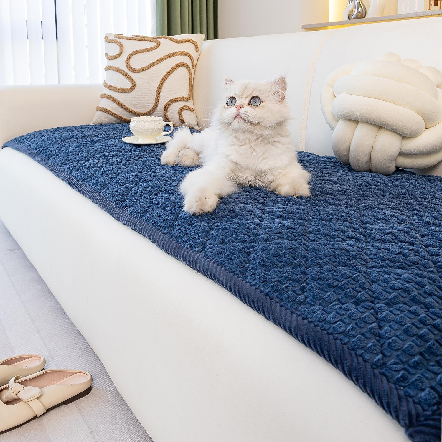 1pc Single Solid Color Bubble Velvet Sofa Pad, Soft Skin-Friendly Material, Pet-Friendly Anti-Slip Design, Machine & Hand Washable, Fits Single to Five-Seater Sofas