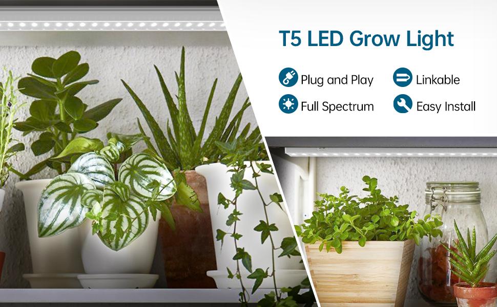 Barrina T5 Grow Lights, 2FT, 5000K Full Spectrum, 80W (8 x 10W, 500W Equivalent) for Indoor Plants, Greenhouse, Plug and Play, 8 Packs