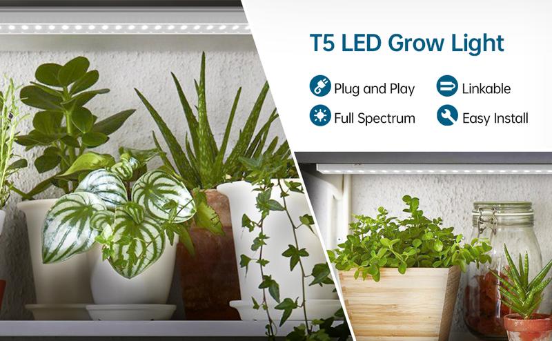 Barrina T5 Grow Lights, 2FT, 5000K Full Spectrum, 80W (8 x 10W, 500W Equivalent) for Indoor Plants, Greenhouse, Plug and Play, 8 Packs Barrina T5 Grow Lights, 2FT, 5000K Full Spectrum, 80W (8 x 10W, 500W Equivalent) for Indoor Plants, Greenhouse, Plug and Play, 8 Packs