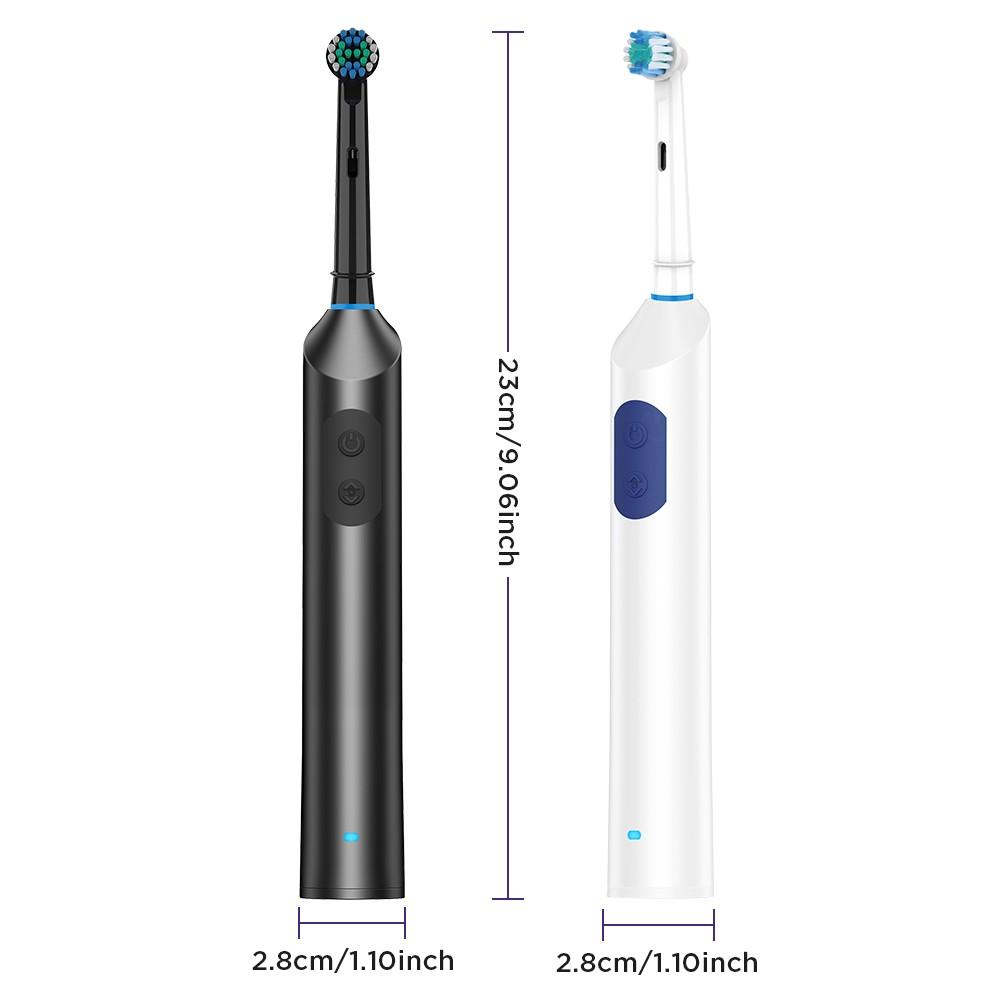 Rotating Electric Toothbrush with 5 Adjustable Modes, 2-Minute Timer with 4 Replaceable Brush Heads for Teeth Cleaning, Cleansing, Ideal for Daily Oral Care