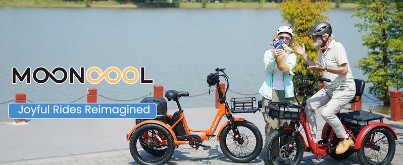 MOONCOOL TK1 Folding Electric Tricycle with Rack Bags , 750W Motor 48V Foldable Ebike Electric Trike for Adults, 20" Fat Tire 3 Wheel Electric Bicycle with Front & Rear Baskets