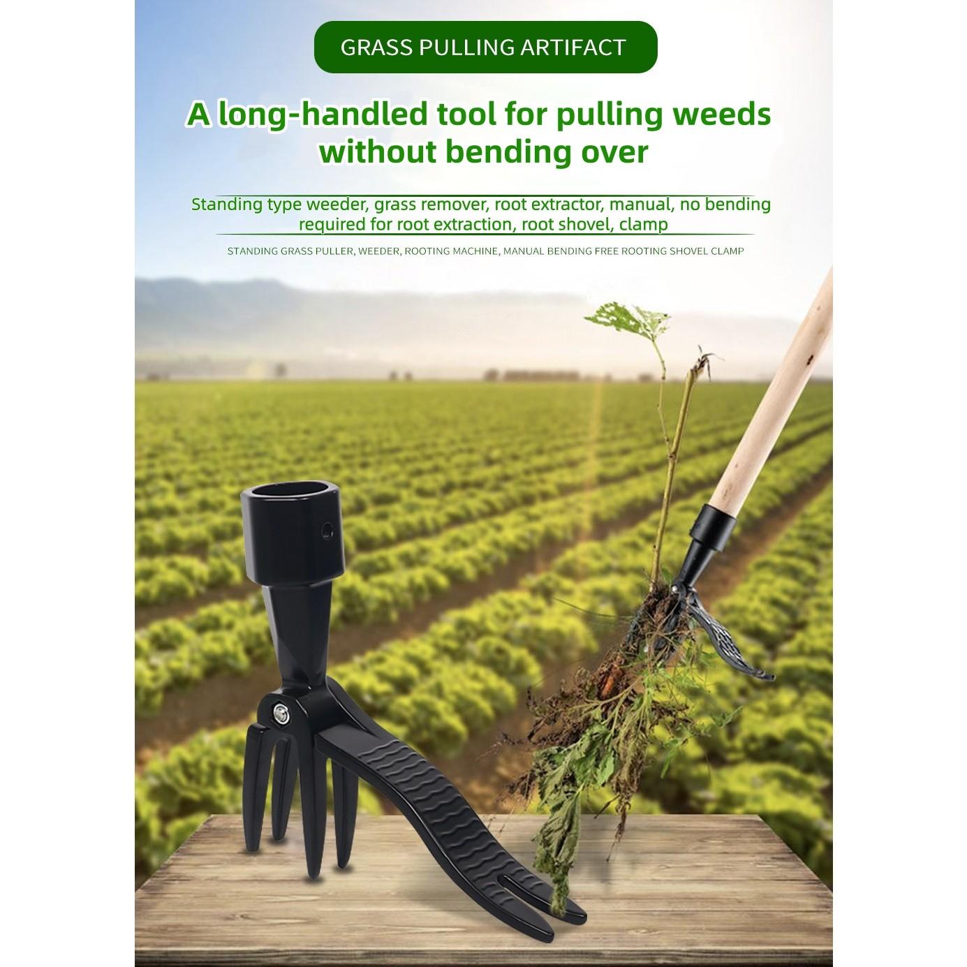 Standing Weed Puller Tool, Ergonomic Grass Removal Scoop, Stainless Steel Clamp, Ideal for Yard Maintenance, Suitable for Elderly, Garden Cleaning Tools, Weeder Puller Tool