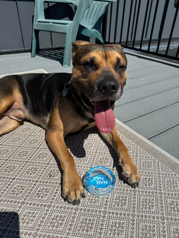 The ZynByn Lip Pillow Dumpster - The Perfect Gift for Him or Her to Clean up in Style!