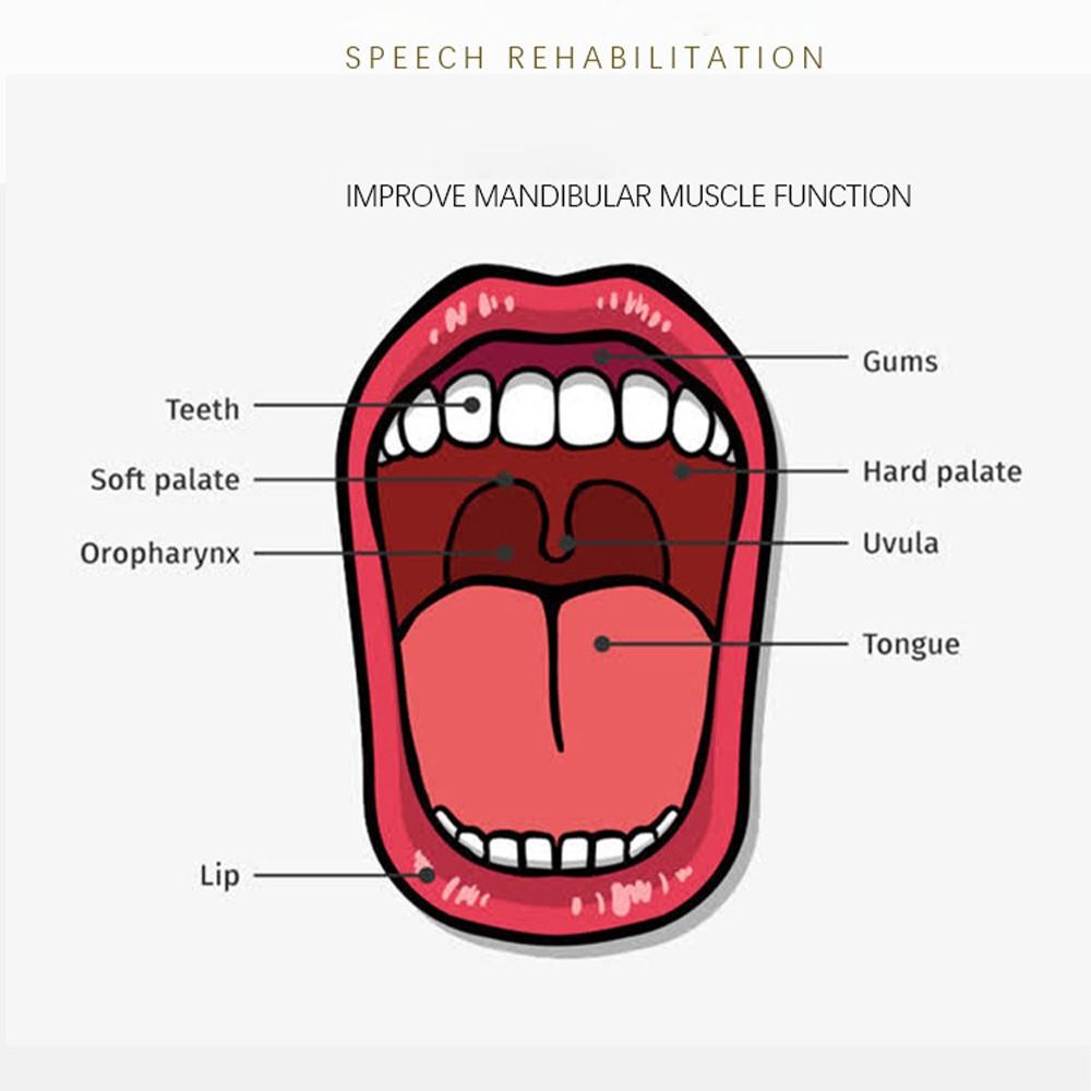 Baby Oral Motor Training T-Type Chew Toy, Speech Development Tool for Autism, Sensory Chewing Toy for Oral Muscle Development