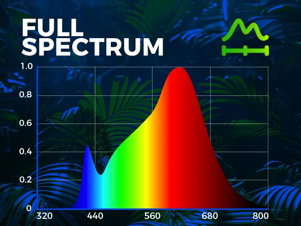 Barrina T5 Grow Lights with Black Cover, 1FT 10W (2 X 5W) with Magnetic Design, Full Spectrum, Plug and Play, Linkable, Yellow, 2 Packs Barrina T5 Grow Lights with Black Cover, 1FT 10W (2 X 5W) with Magnetic Design, Full Spectrum, Plug and Play, Linkable, Yellow, 2 Packs