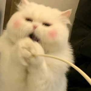 Fu Beauty and Personal Care