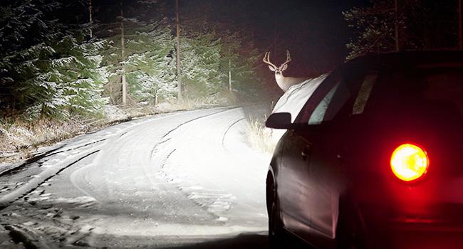 AUXITO 9005/HB3 H11/H8/H9 LED Bulbs Combo, 50000LM Bright 6500K Cool White, 120W Fanless Light Bulbs, Pack of 4