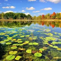 background preload poster image 