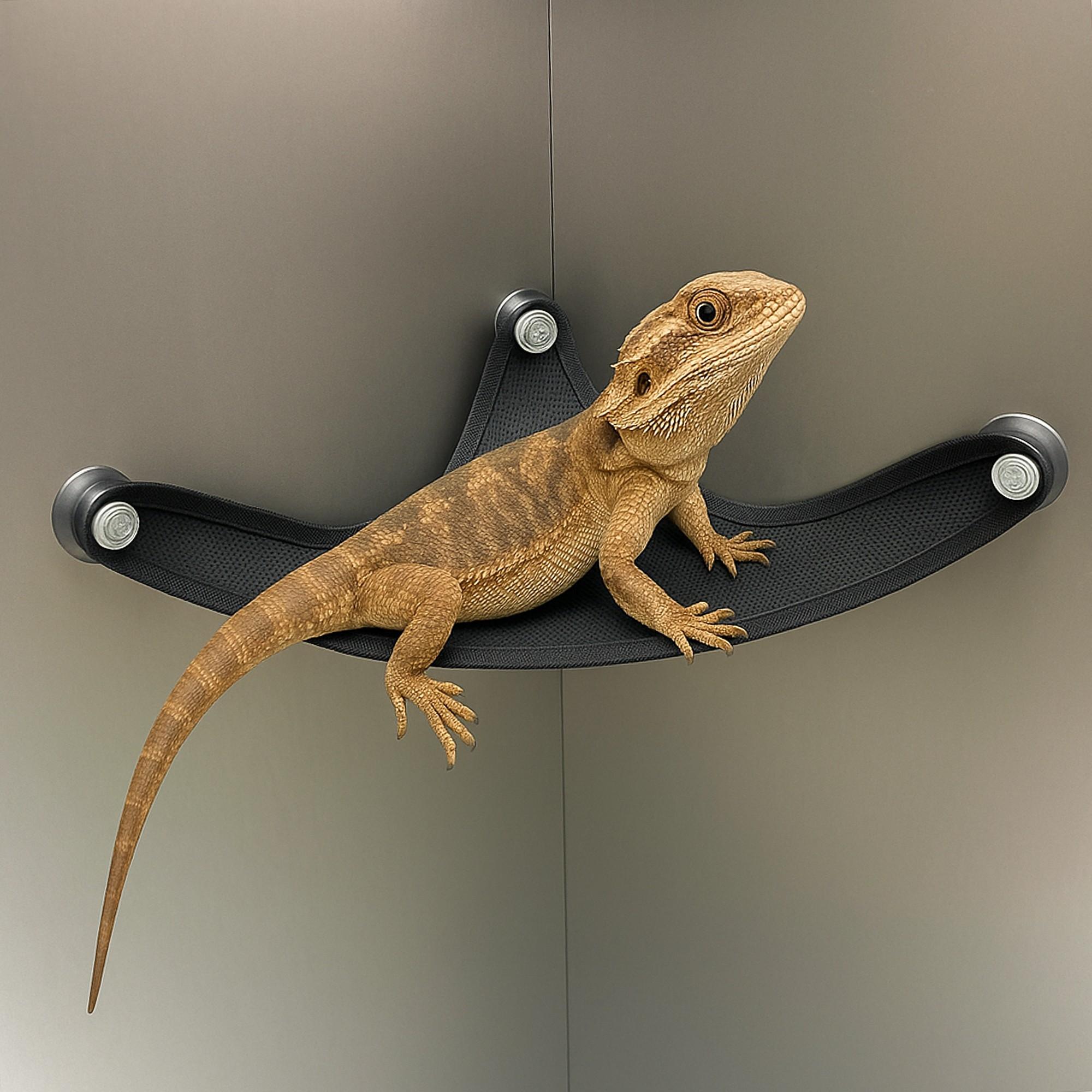 Lizard Hammock Small Pet Climbing Reptile Resting Hammock Mesh Breathable Suction Cup Fixed Climbing Reptile Hammock