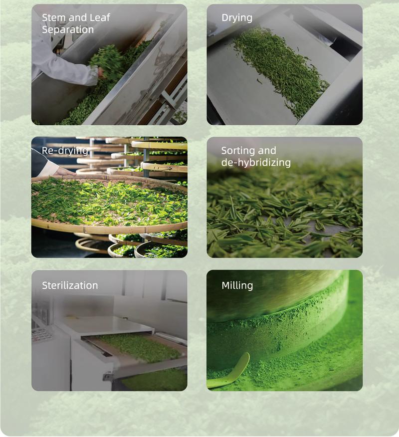 TEANAGOO Ceremonial Grade Matcha Powder Premium First-Harvest USDA Organic Unsweetened No Additives for Latte Daily Beverage or Traditional Tea Ceremony Multiple  Healthy