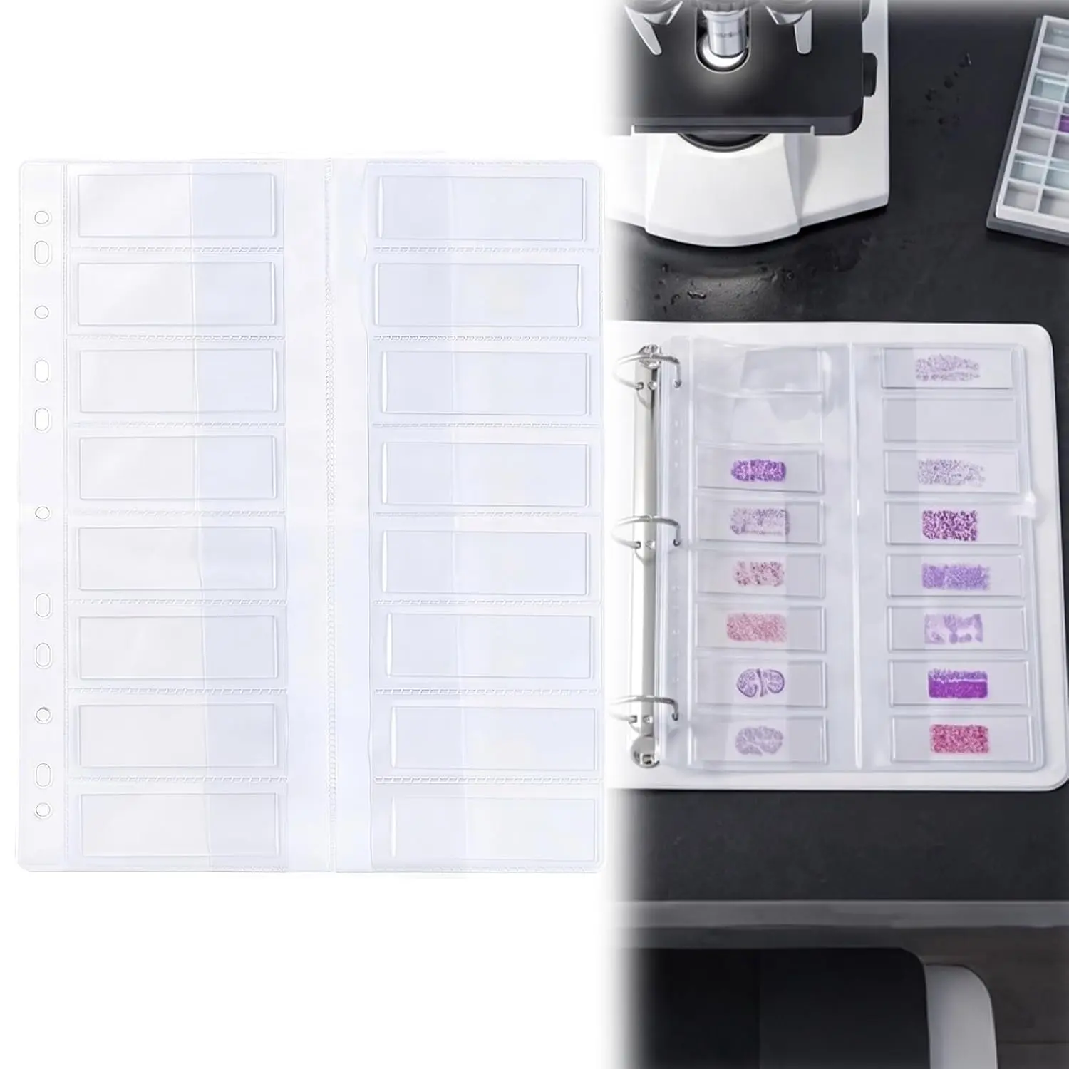10 Pack Microscope Slide Holder Pages for 3 Ring Binder, Holds 160 Standard 25 x 75 mm Glass Slides, Clear Slide Storage Sheets for Lab, School, Research, Specimen Collection Organizer