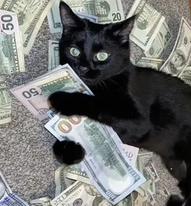 background preload poster image 