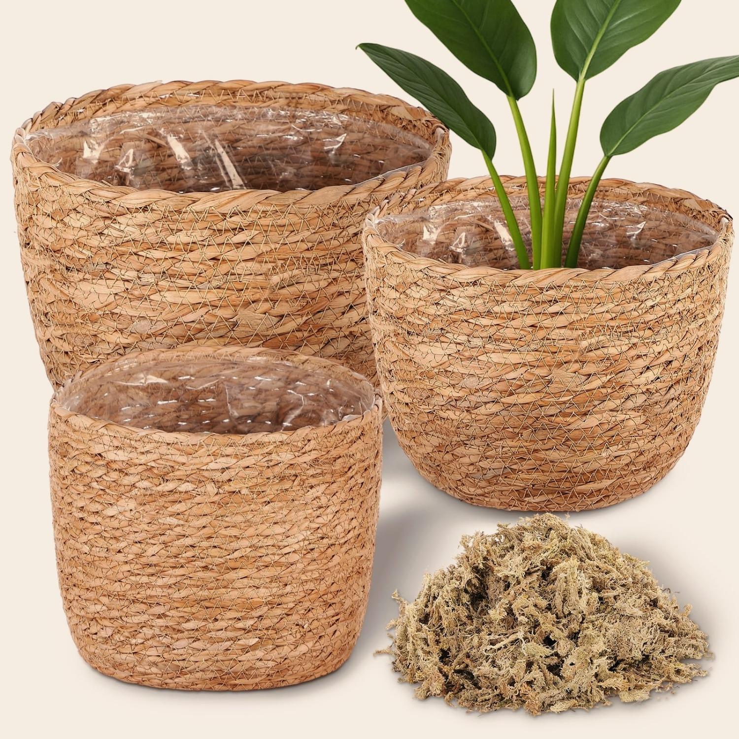 3 Pack Handwoven Seagrass Plant Baskets with Artificial Moss Lining, Breathable Flower Planter Pots, Lightweight Storage Baskets for Succulents, Herbs and Various Potted Plants, Stylish Decor for Indoor and Outdoor Garden Layout