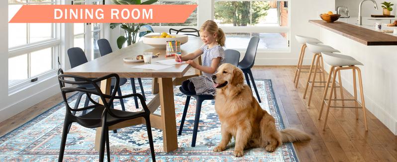 BESTSWEETIE Machine Washable Area Rugs for Living Room Floor Carpet Doormat Vintage Runner Rug for Bedroom Indoor Dinning Room Nursery Large Area Rug Outdoorfun